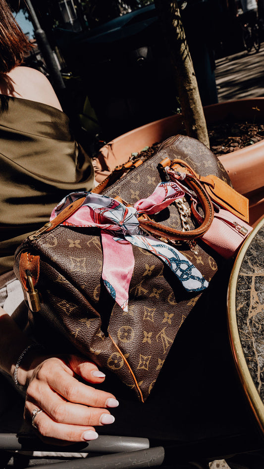 Louis Vuitton Speedy 35