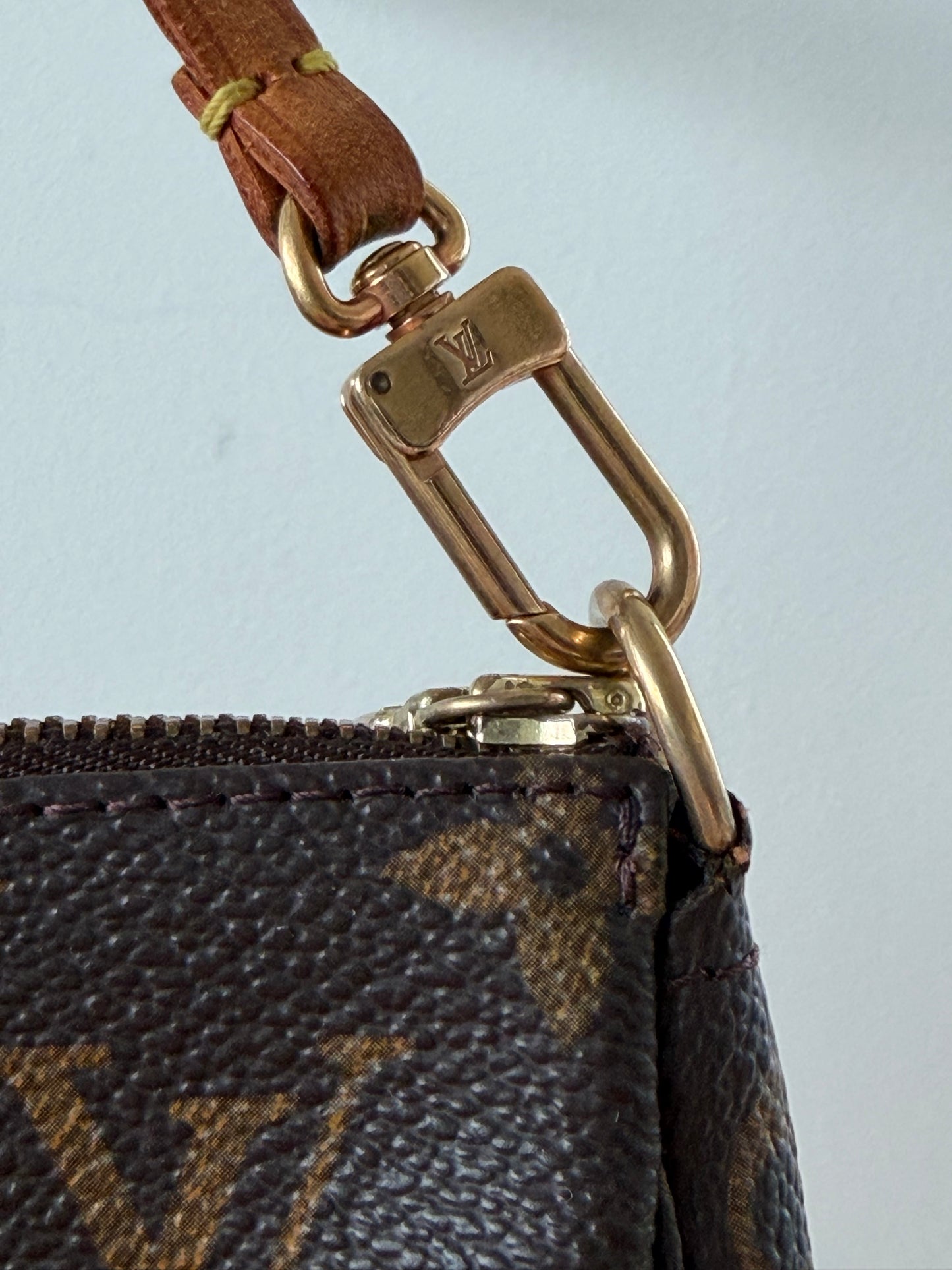 Louis Vuitton Pochette Accessoires with LV Dustbag
