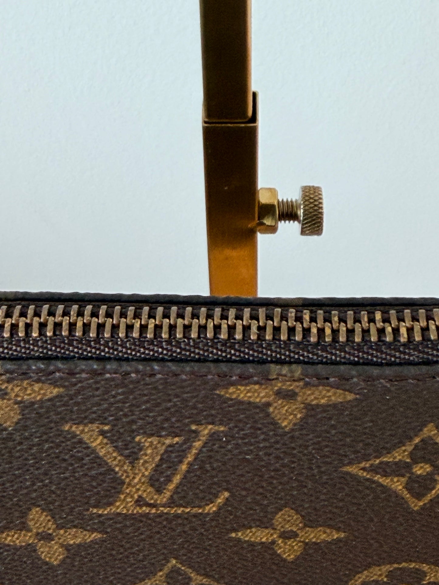 Louis Vuitton Pochette Accessoires with LV Dustbag