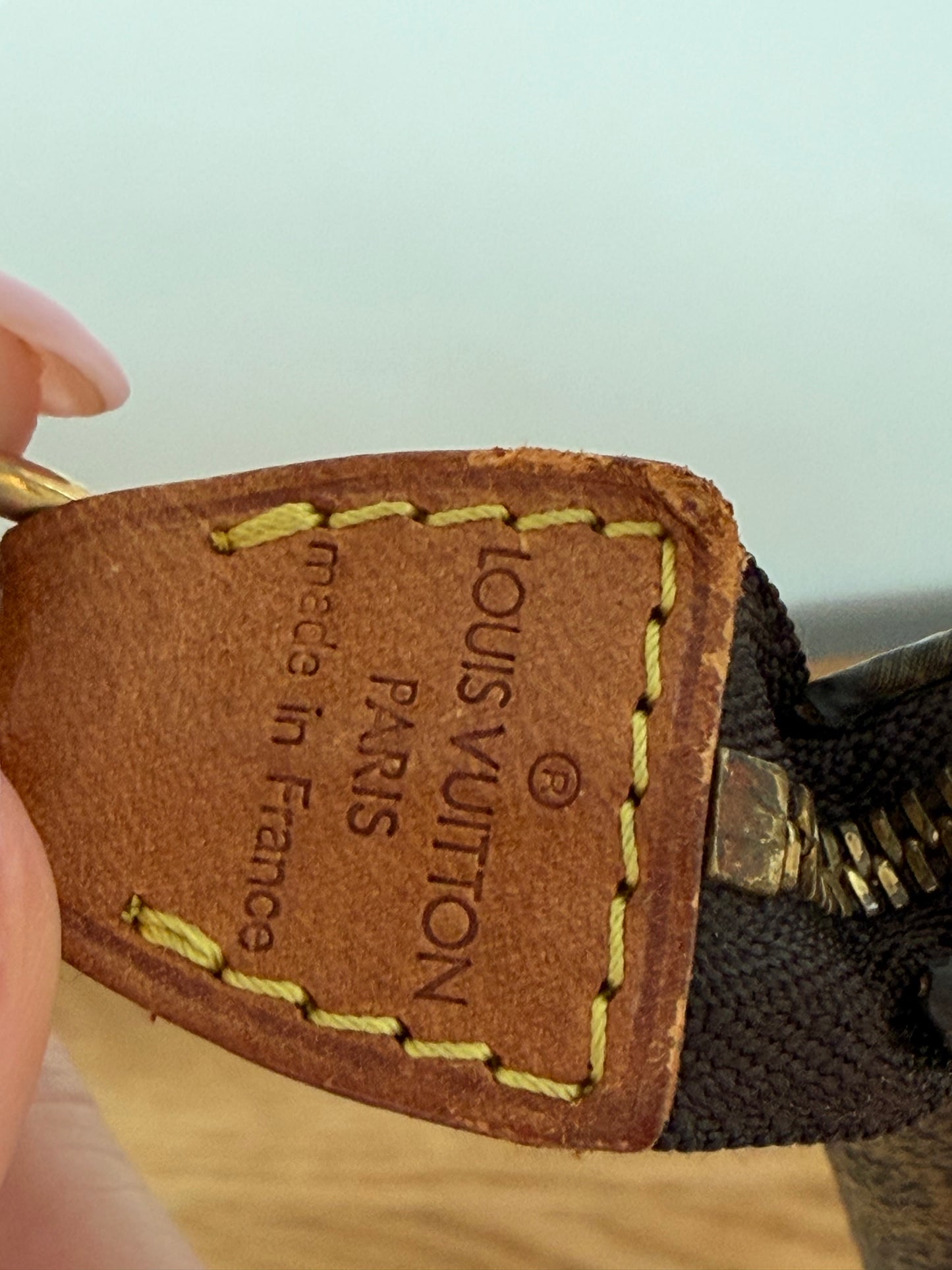 Louis Vuitton Pochette Accessoires with LV Dustbag