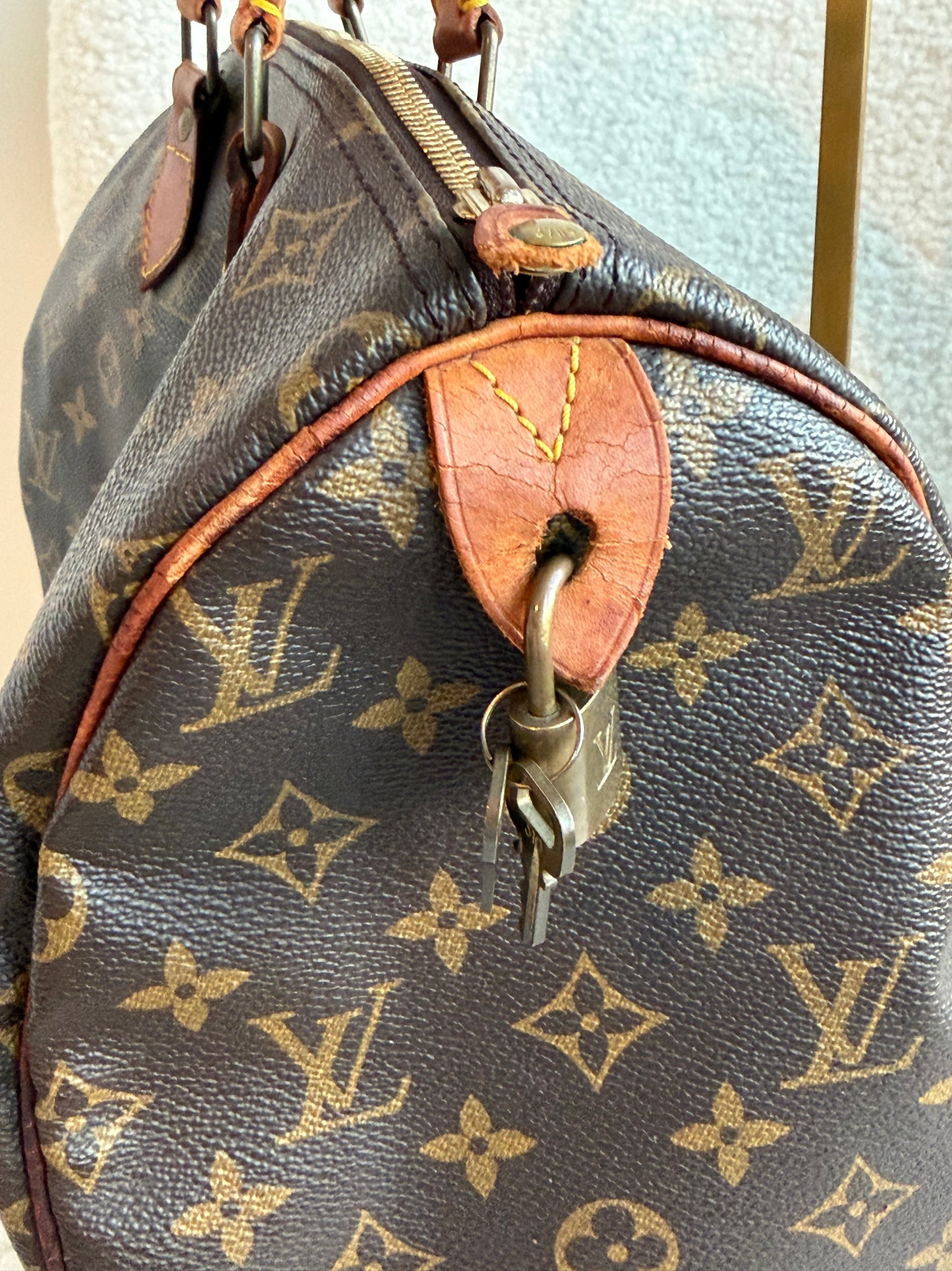 Louis Vuitton Speedy 30