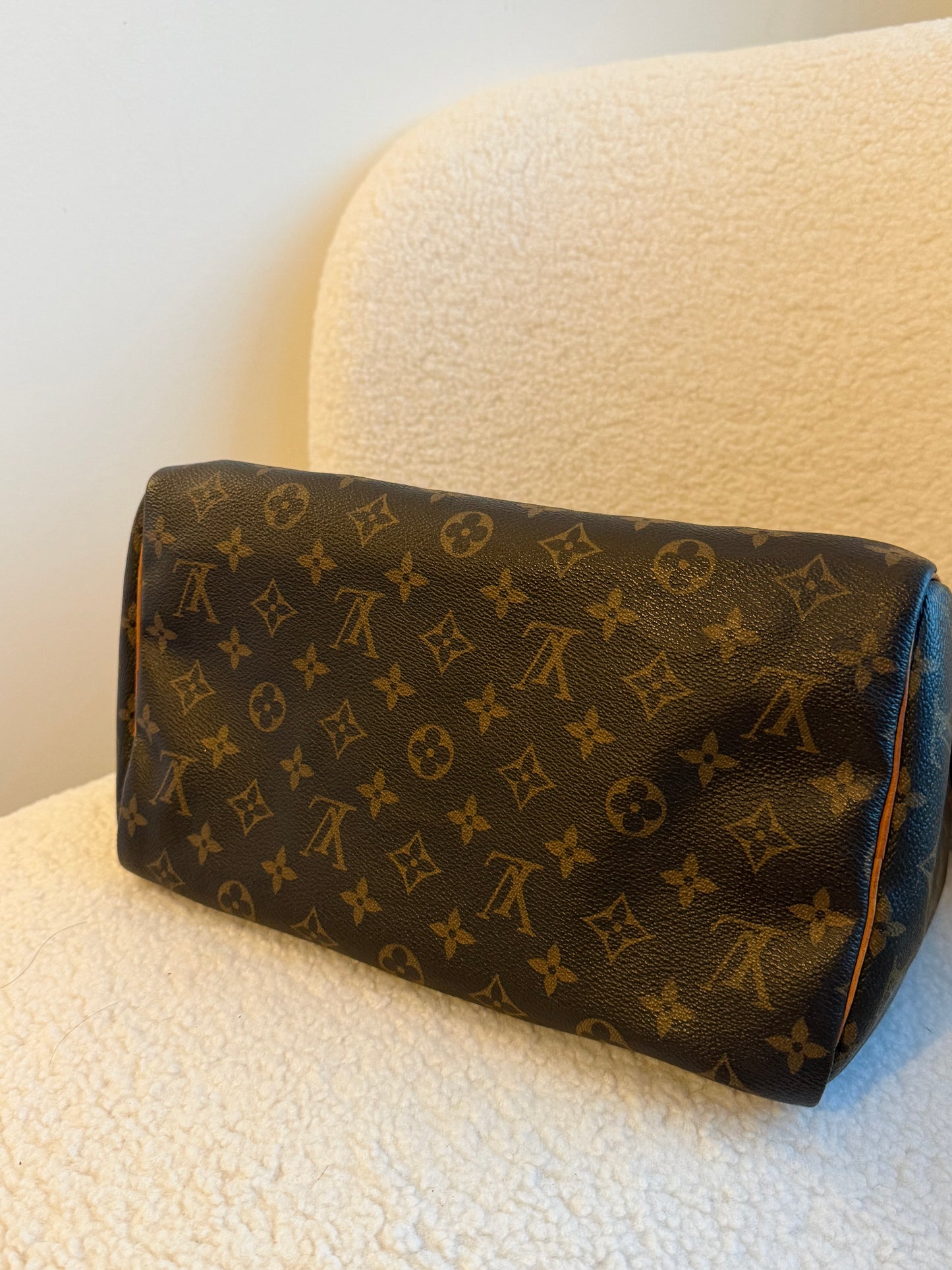 Louis Vuitton Speedy 30 Monogram